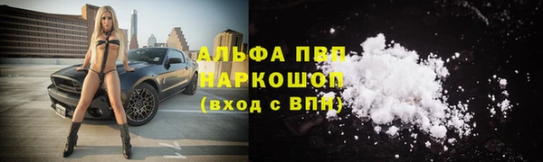 гашик Аркадак