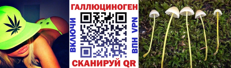 Купить закладки  Баймак  Галлюциногенные грибы Cubensis 