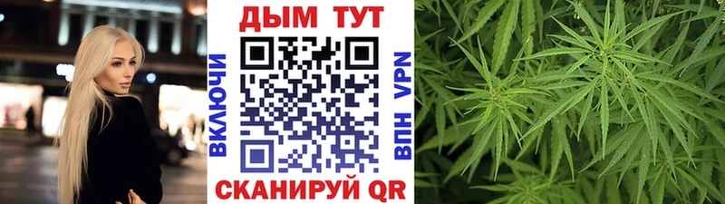 Купить закладки  Баймак  Марихуана план 